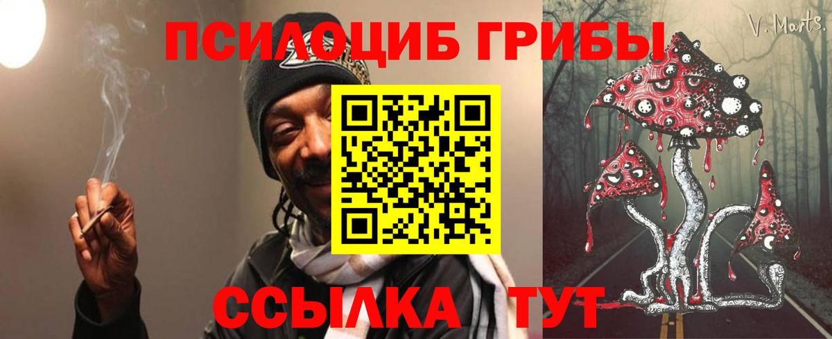 Псилоцибиновые грибы Psilocybine cubensis  Галлюциногенные грибы Psilocybe  Вход с VPN  Красногорск 